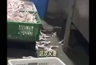 漂白鸡爪又上315，这次可别“查过就算了”