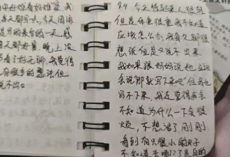 跳楼的女子冠军，到底经历了什么....