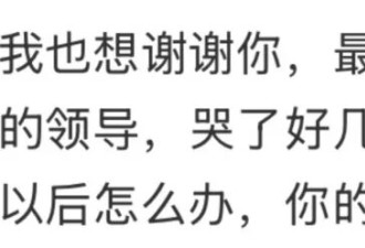 女子焦虑投简历，遇到暖心HR，网友：看得我眼泪稀里哗啦