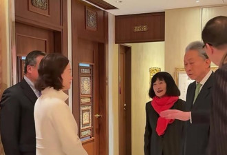 49岁翁帆高调拜会鸠山由纪夫，传闻不攻自破