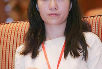 49岁翁帆高调拜会鸠山由纪夫，传闻不攻自破