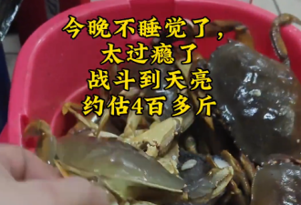 全网痛骂! 两名华人在加拿大捕捞珍宝蟹: 船上现蒸"当馒头吃"!
