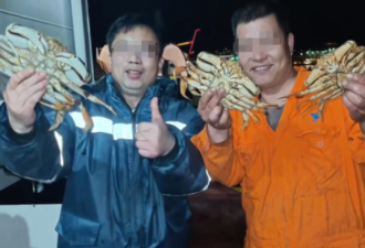 全网痛骂! 两名华人在加拿大捕捞珍宝蟹: 船上现蒸"当馒头吃"!