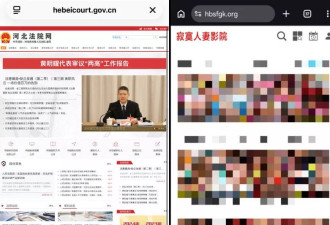 河北高院变河北彩花？中国司法平台沦“寂寞人妻”网站