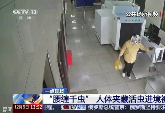 200亿美元不法产业 异宠兴起将迎“生态灾难”？