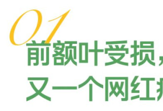 “我的前额叶罢工了” 年轻人争相确诊“脑残网红病”
