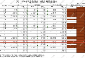 出口暴涨73% 是谁在疯狂买爆“落后”的中国芯片?