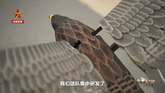 中国无人机 已经“进化”到这种程度了?