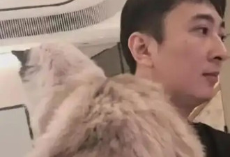 王思聪手写情书曝光 高调认爱疑结婚 女友真实家境被扒 能走多远？
