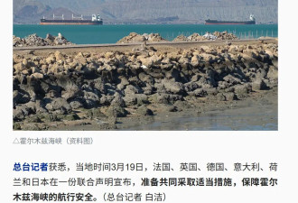 6国联合声明:采取措施保障霍尔木兹海峡安全
