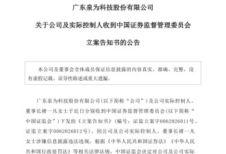 广东“95后”美女董事长被查.....