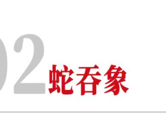 内存暴涨，这对华强北姐弟半年猛赚400亿
