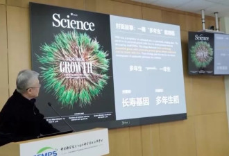 中国科学家成功首创一次播种多年收获水稻