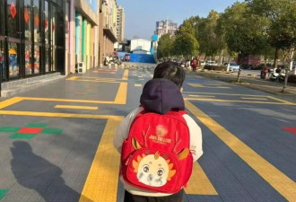 夫妻分居后，丈夫趁5岁儿子在游乐园玩时私自将其带回