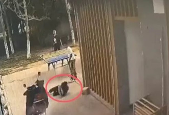 小学生公园内打乒乓球时碰倒婆婆致其受伤，法院判了