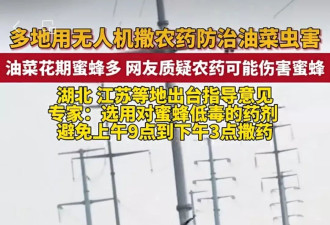 焚烧秸秆能防治的病，非要用无人机打药 图啥？
