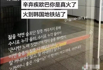 韩国地铁惊现辛弃疾《丑奴儿》？网友打卡
