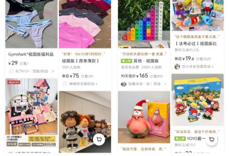 “祖国版”即盗版，为何横行小红书？