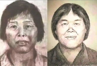 一文读懂“梅姨案”始末 9名被拐孩子已全部找回