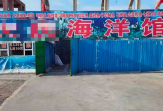 县城中产，养活了多少“盗版”迪士尼