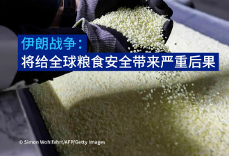 伊朗战争：将给全球粮食安全带来严重后果