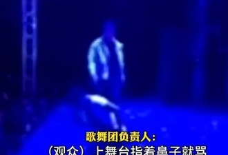 河北一场演出中歌手遭观众辱骂后用话筒打人