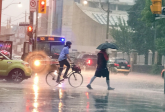 入春失败! 多伦多本周再迎阵雪+40km/h强风+降雨! 体感-8°C