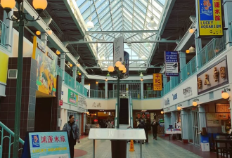 一幅油画勾起无数回忆: 万锦消失8年的华人商场, 至今仍是荒地!