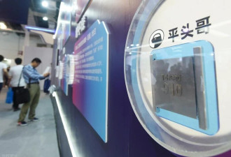 2500亿灰飞烟灭 中国“AI芯片第一股”跌落神坛
