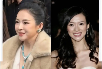 47岁章子怡被疑动脸 | 出道30年的颜值变化：清冷感是如何不见的？