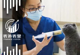 买猫500、治病5000，年轻人抛弃宠物医院