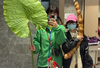 北上广“城巴佬”，疯抢比人还高的云南大豆荚
