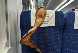 北上广“城巴佬”，疯抢比人还高的云南大豆荚