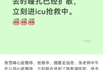 张雪峰猝死留下11岁独女，事发时紧急从学校接走