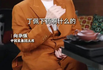 向华强及李小龙离世细节，否认前妻丁佩下药传闻，认为李小龙是因练功过度所致