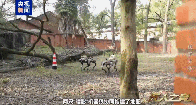 中国机器狼群巷战画面首次公开....
