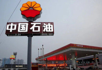 尼日尔驱逐中石油高层 一带一路再遭重创