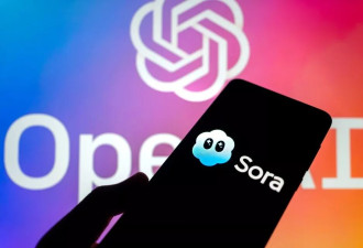 Sora之死：大厂围猎之下，生数科技们如何突围