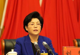 被指“结交政治骗子” 原正部级刘慧，被开除党籍