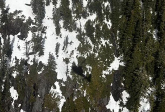 中国陪读家长加国登山为救人坠亡 众筹医疗费