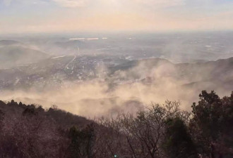 树不能砍，人如何躲：7500万过敏人群“过春天”
