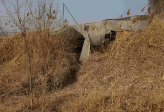初中生遭杀害震惊全国 河北立法学校不得隐瞒欺凌