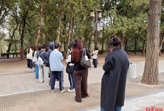 北京地坛公园不再允许用明星姓名认养树木