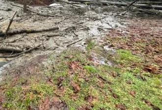 “大气河流”太可怕 大温豪宅瞬间少了一半