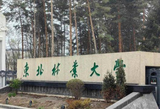 中国面积最大的3所大学 第一名相当于86个清华