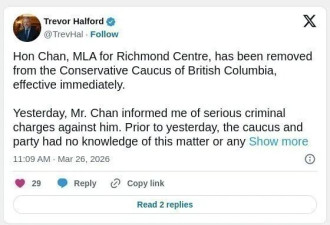 爆雷！大温华裔议员涉家暴被秒除名 养老金要砍了?