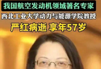 她走了 没上过新闻联播 却让歼-20真正活了过来