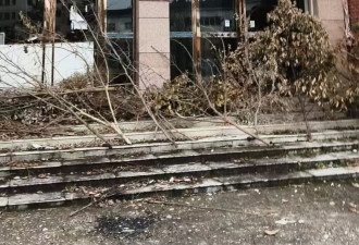 养老公寓“爆雷”:受害者放弃追责,寻求追赃挽损
