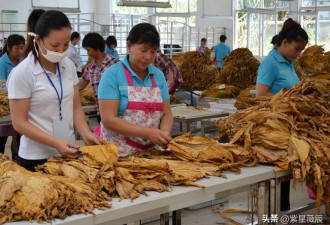 中国第一纳税大户 相当于21个华为 28个腾讯