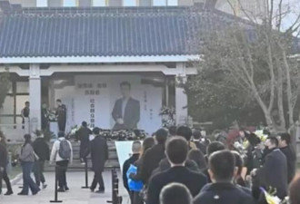 张雪峰就像民间老中医